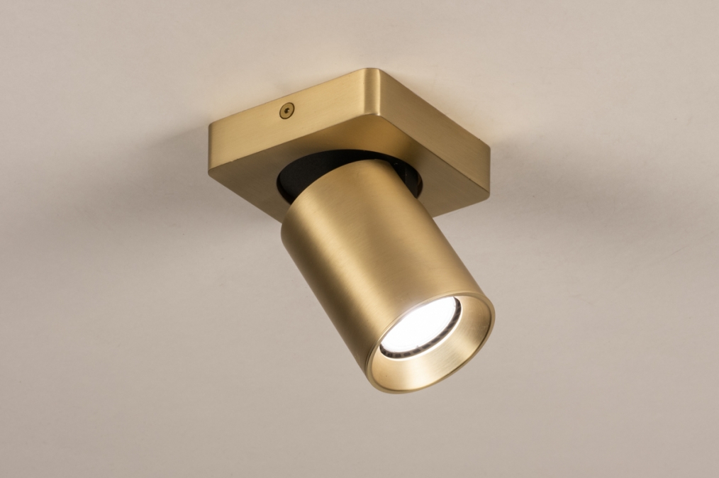 Stropní nebo nástěnné bodové LED svítidlo Gianlucca Gold I