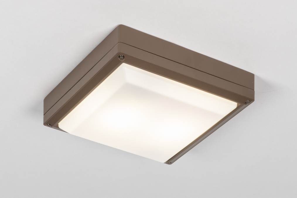 Stropní venkovní svítidlo Ankorro Brown II