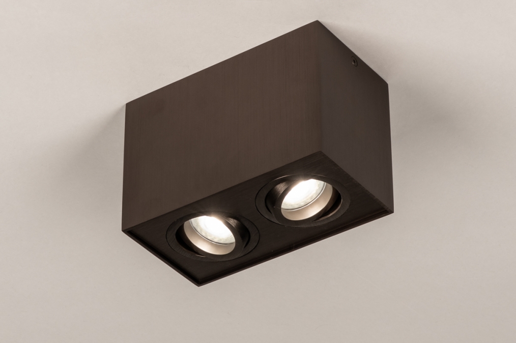 Stropní bodové svítidlo Tyler 2 Brown