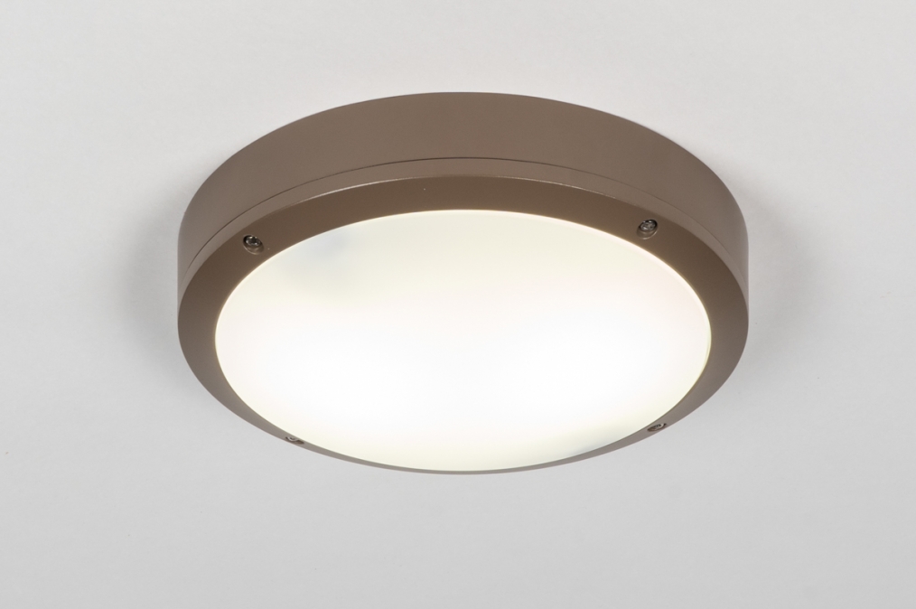 Venkovní stropní svítidlo Corpus Brown