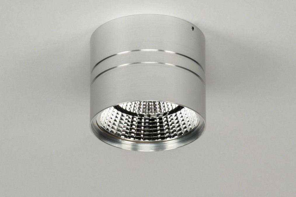 Stropní bodové stříbrné LED svítidlo Topas Silver